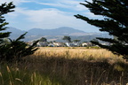 Landscapes